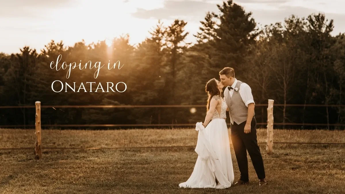 Newlyweds, just married in ontario kissing in a filed with a fence and a backdrop of gorgeous evergreens.