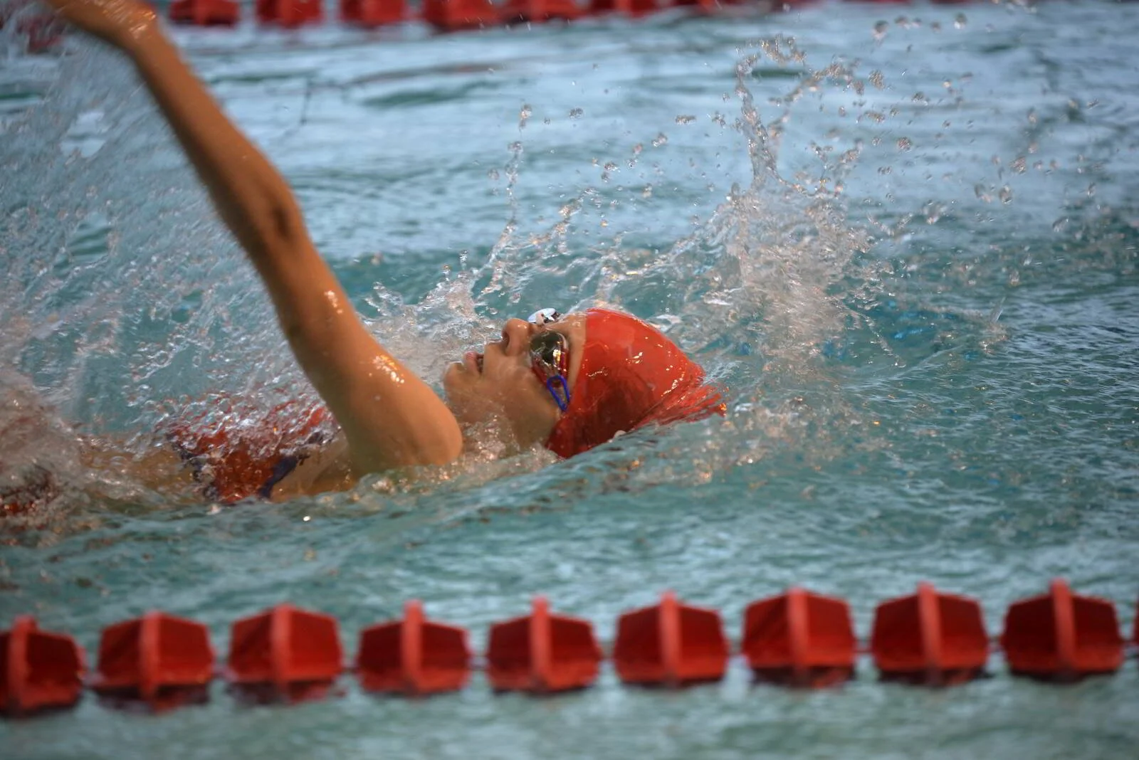673dfbc958041_DSC0307.JPG