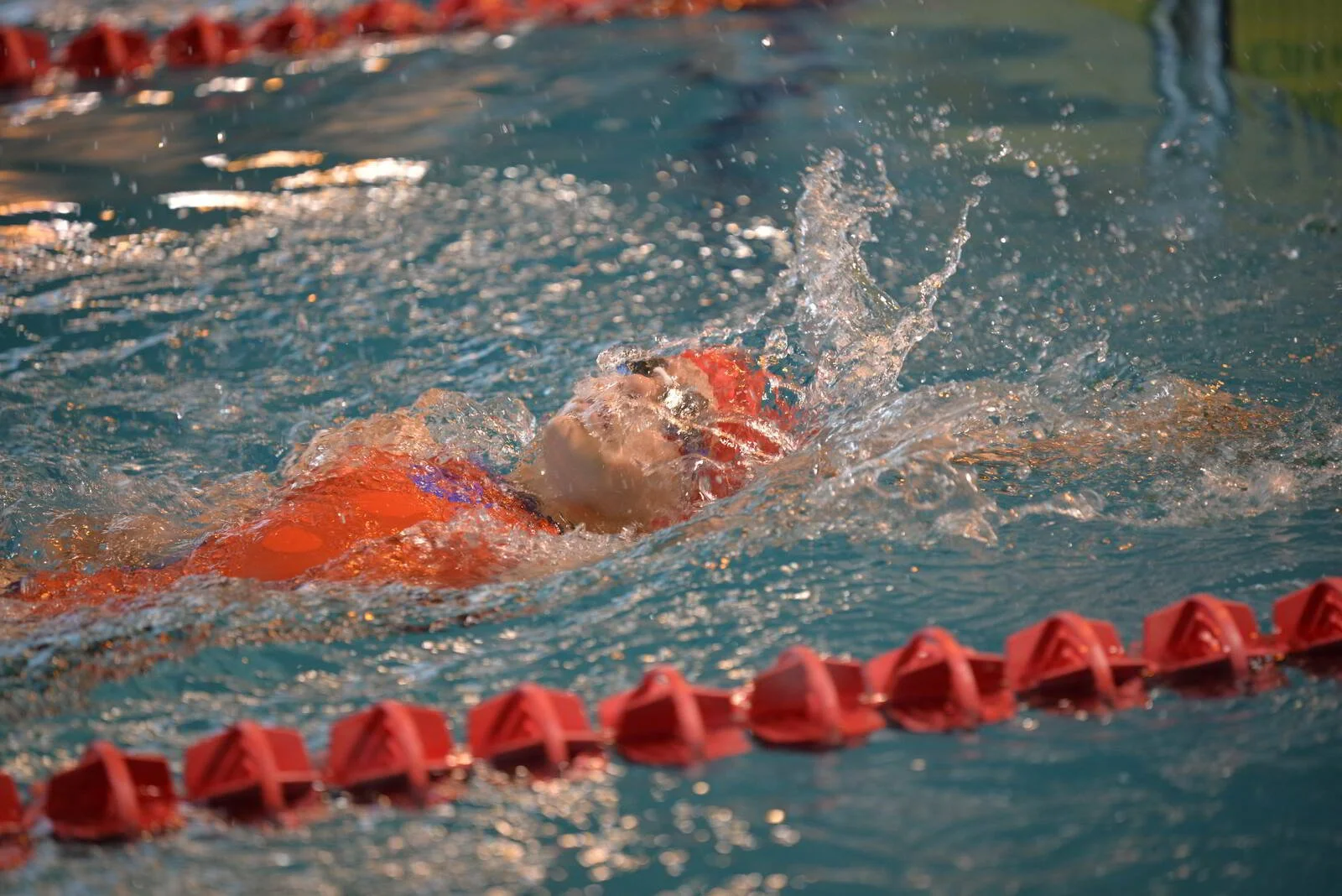 673dfbcdc1d51_DSC0309.JPG