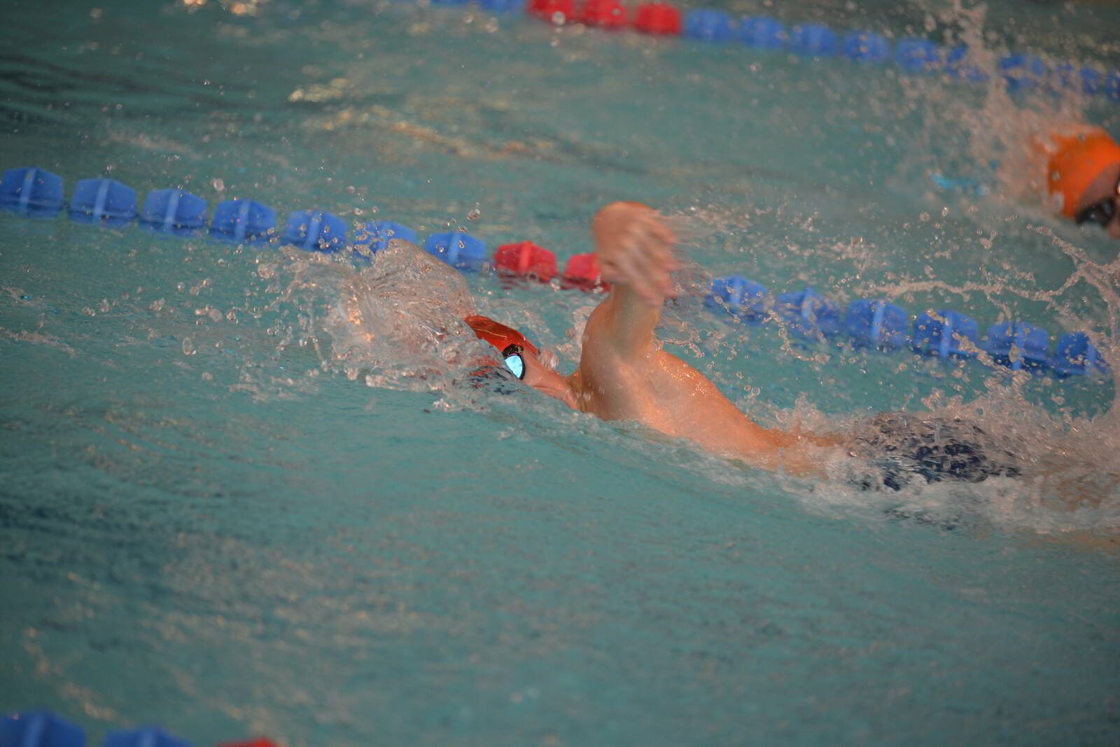 673dfdda98ea2_DSC0639.JPG