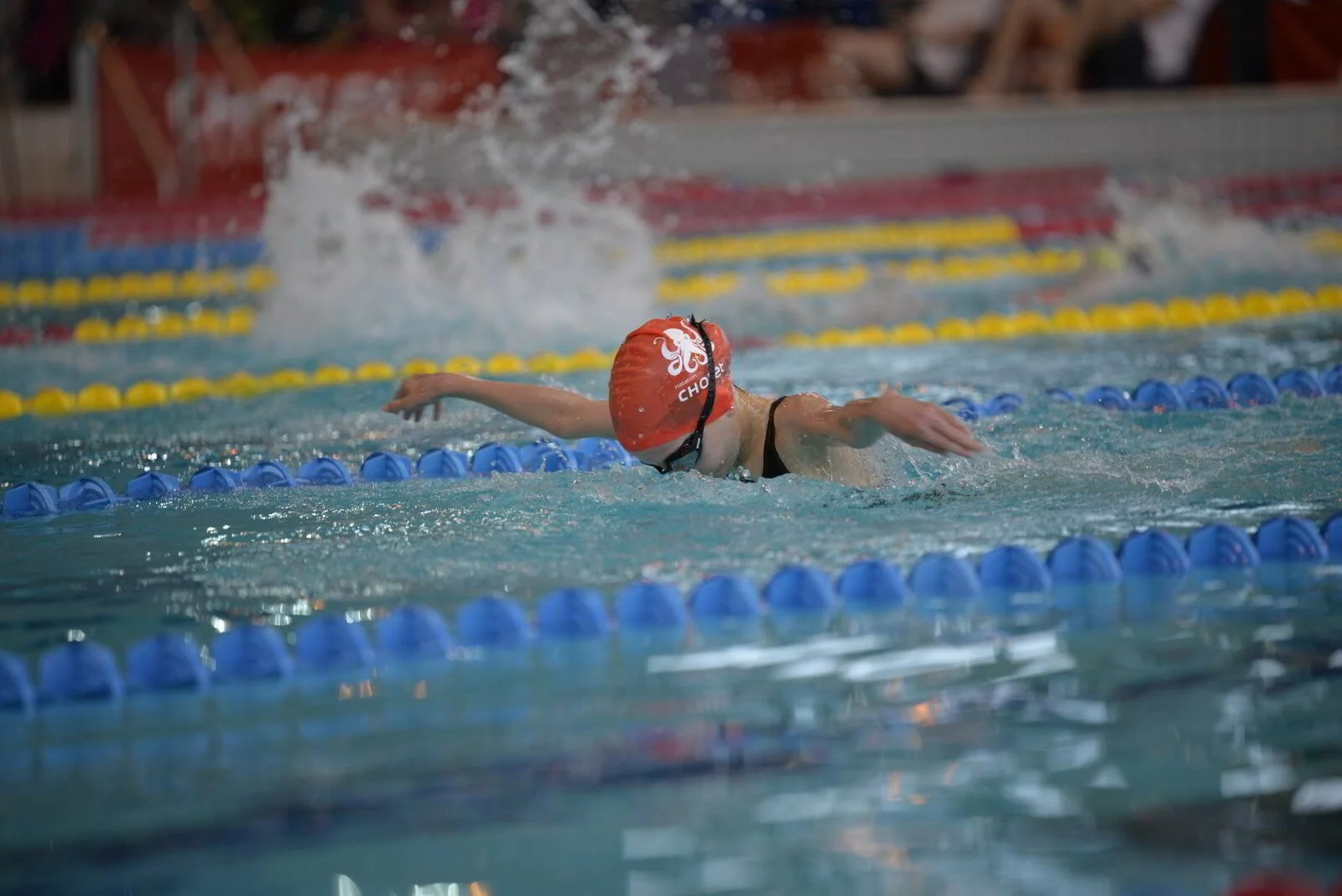 673dff1019ffa_DSC0831.JPG