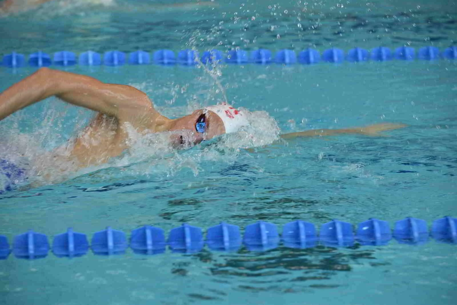 673e02b29686c_DSC9809.JPG
