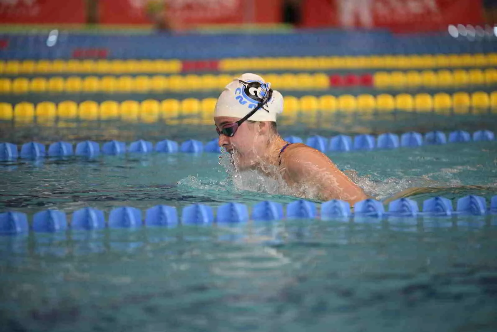 673e02f91d3bf_DSC9846.JPG