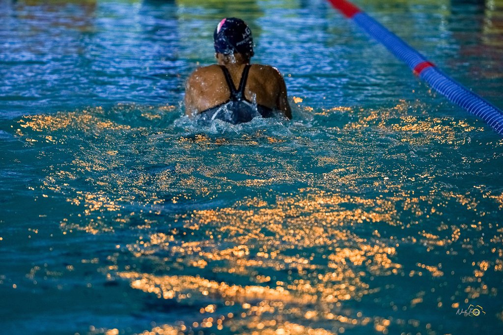 655b671c4c6f3_MeetingnatationCholet03et041123.BBDNadImage48.jpg