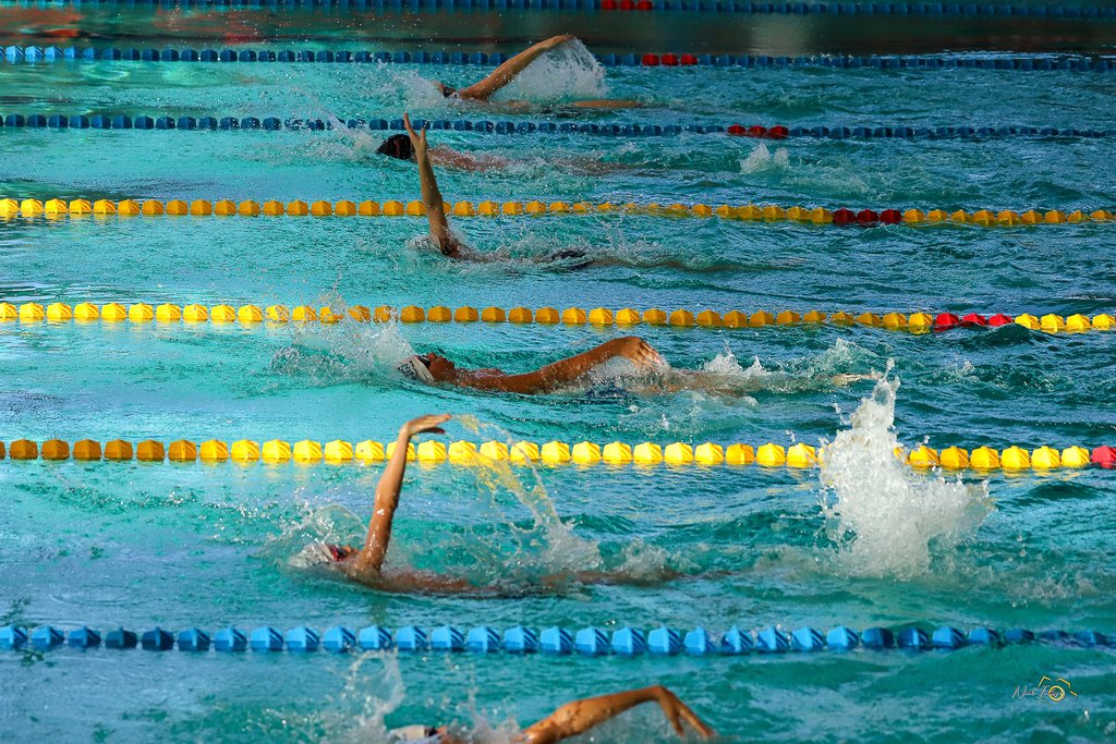 655b671ee0a95_MeetingnatationCholet03et041123.BBDNadImage53.jpg