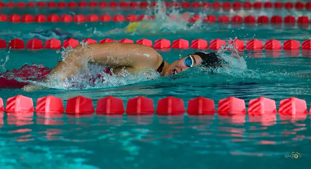655b67103a9cd_MeetingnatationCholet03et041123.BBDNadImage26.jpg