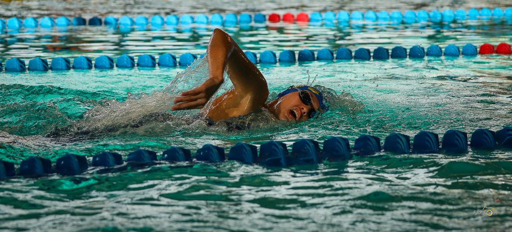 655b67218fc05_MeetingnatationCholet03et041123.BBDNadImage58.jpg