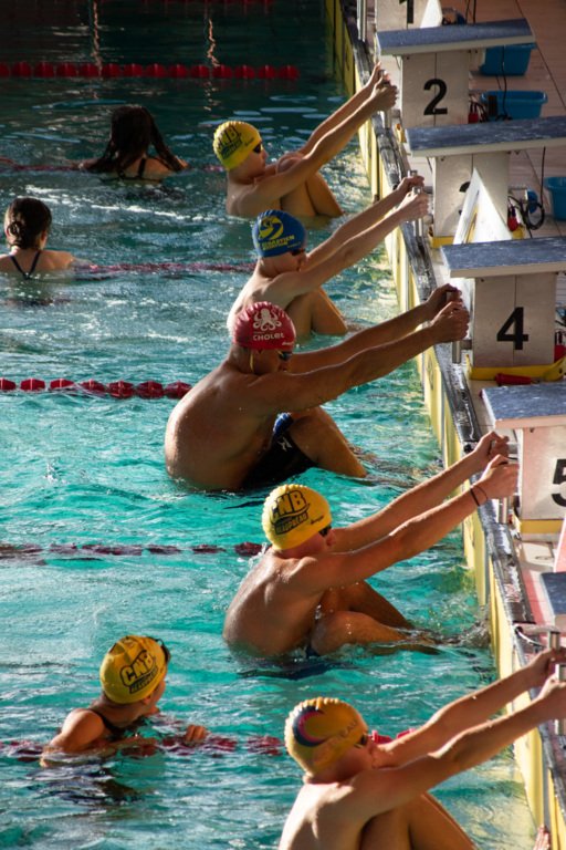 655b68df284e8_20231104CholetnatationVroniqueVastel227.jpg
