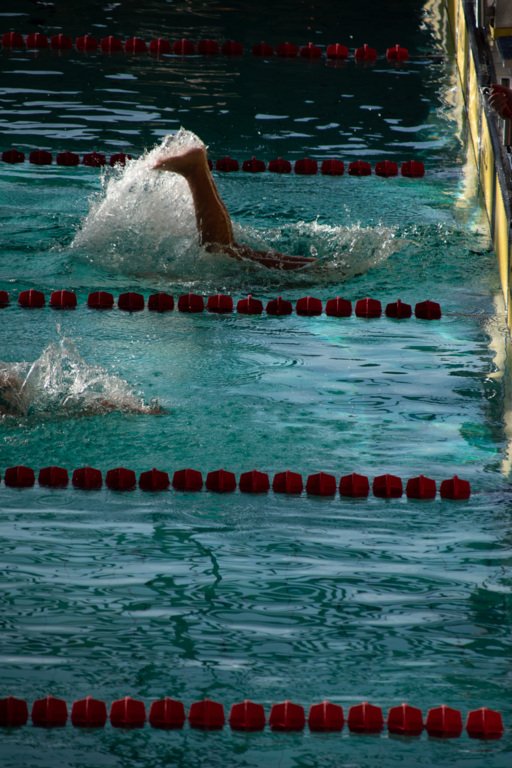 655b68dfe73e9_20231104CholetnatationVroniqueVastel229.jpg