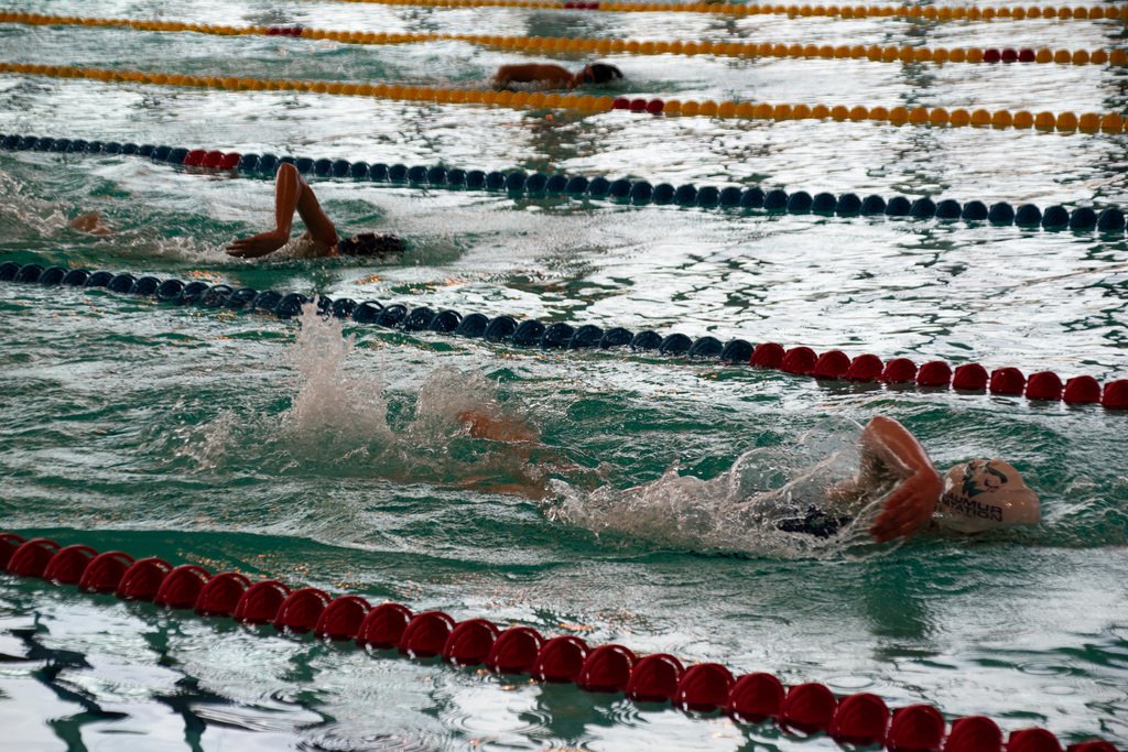 655b68ff5a206_20231104CholetnatationVroniqueVastel287.jpg