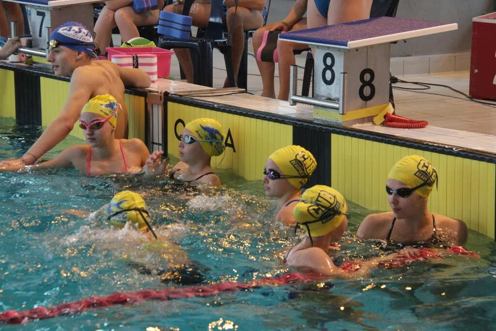 637c90aa81bf4_Natationtout200.jpg