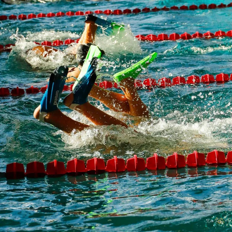 637c90be6507a_Natationtout274.jpg