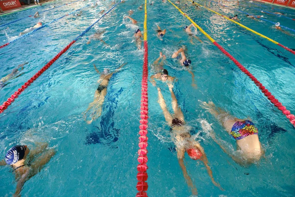 637c90d6944e7_Natationtout350.jpg