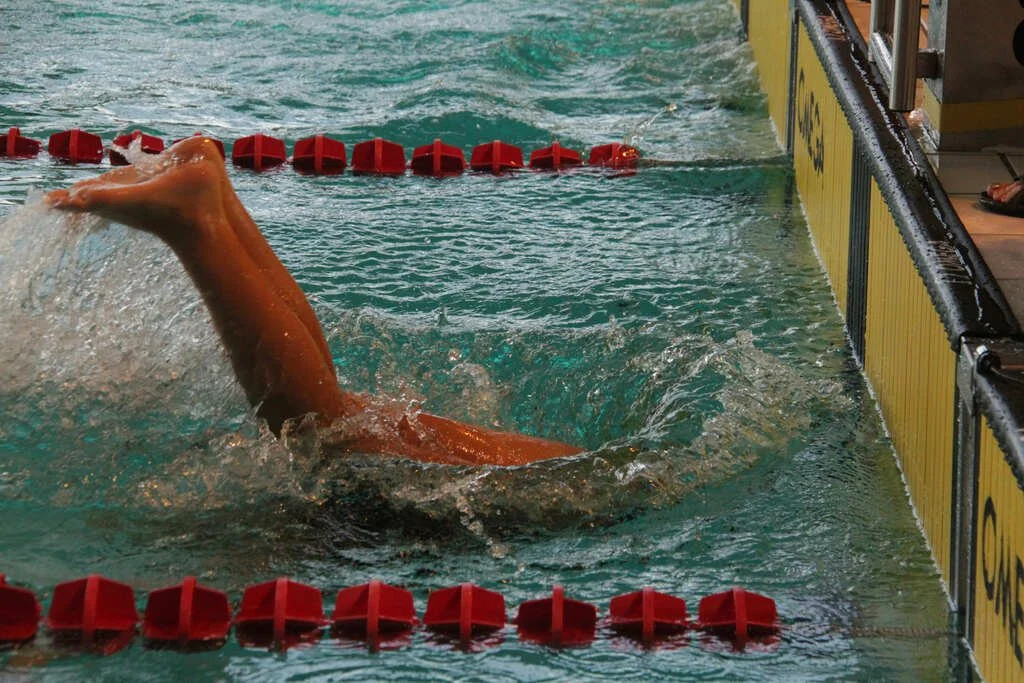 637c90e177f24_Natationtout402.jpg