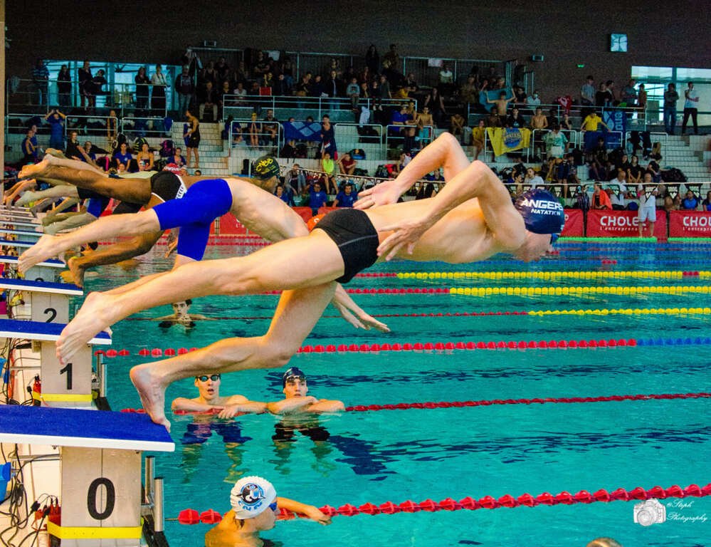 637c90953a025_Natationtout144.jpg