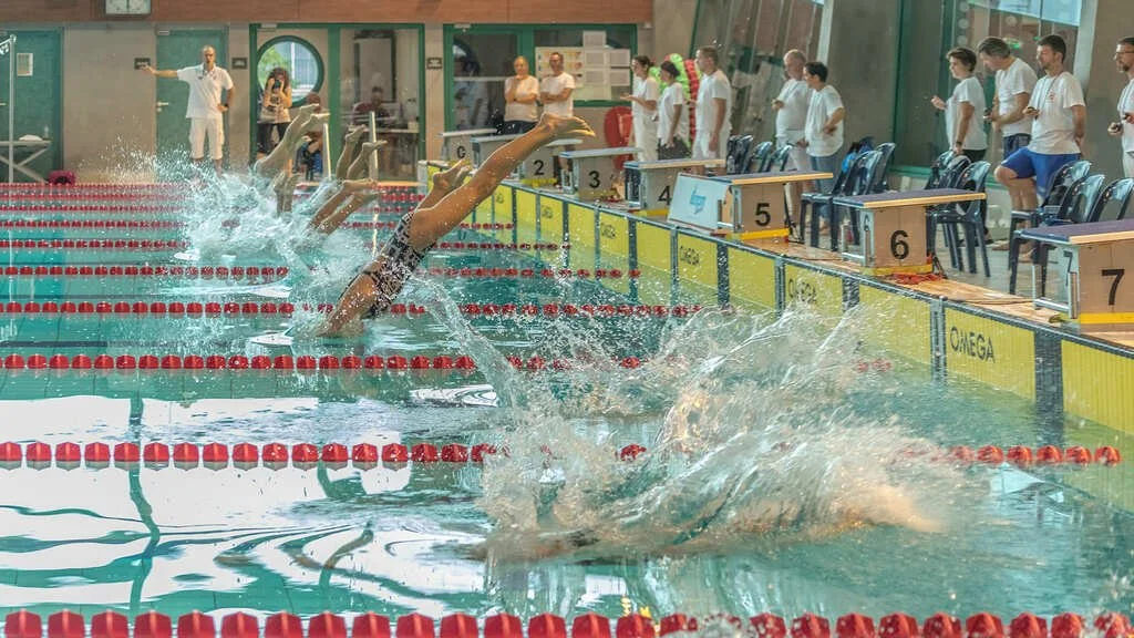 637c908681dd3_Natationtout107.jpg