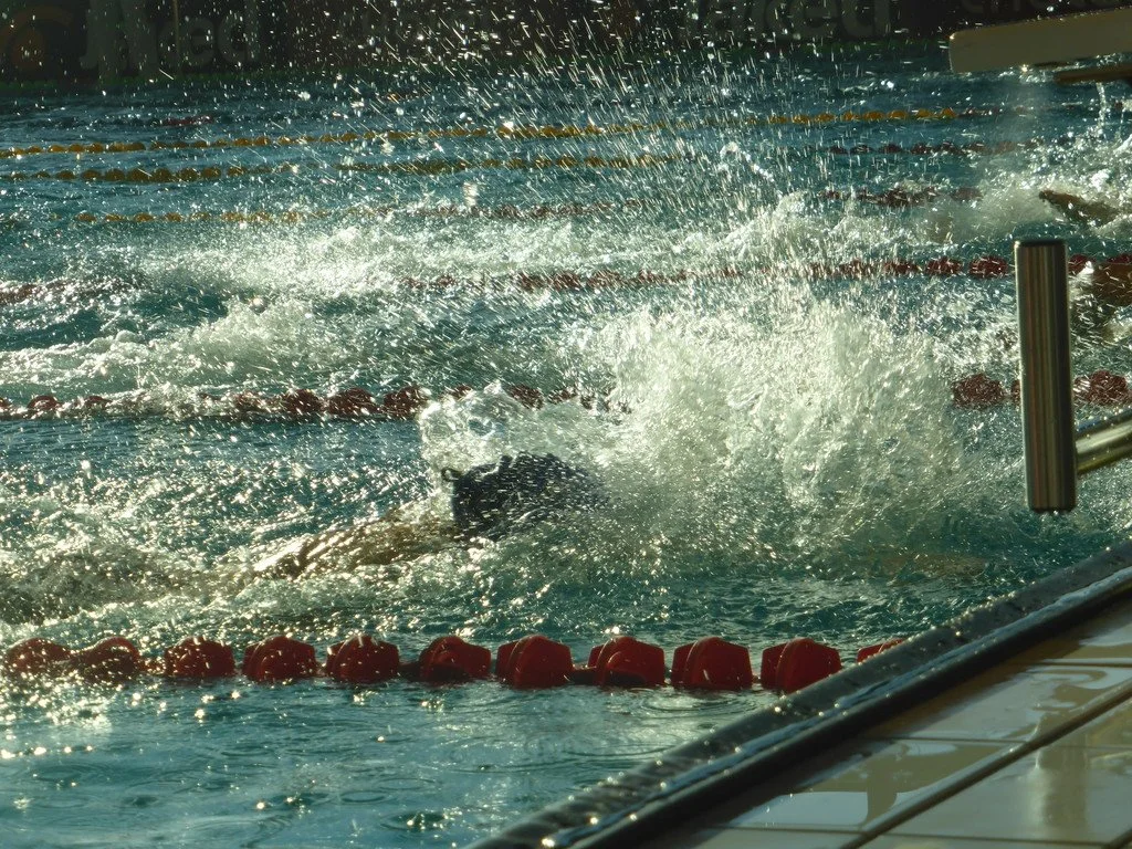 5bdfee0380b18_P1040193.JPG