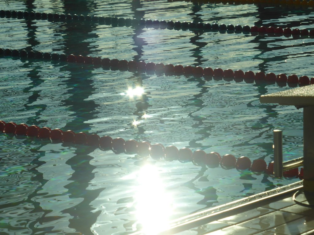 5bdfee022943f_P1040190.JPG