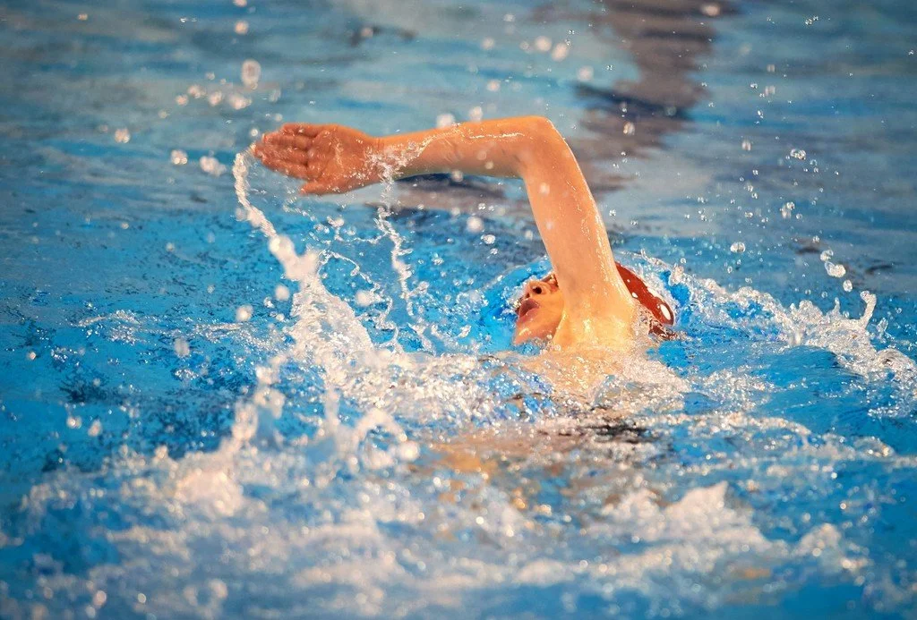 5a2b9777282af_DSC2527.jpg