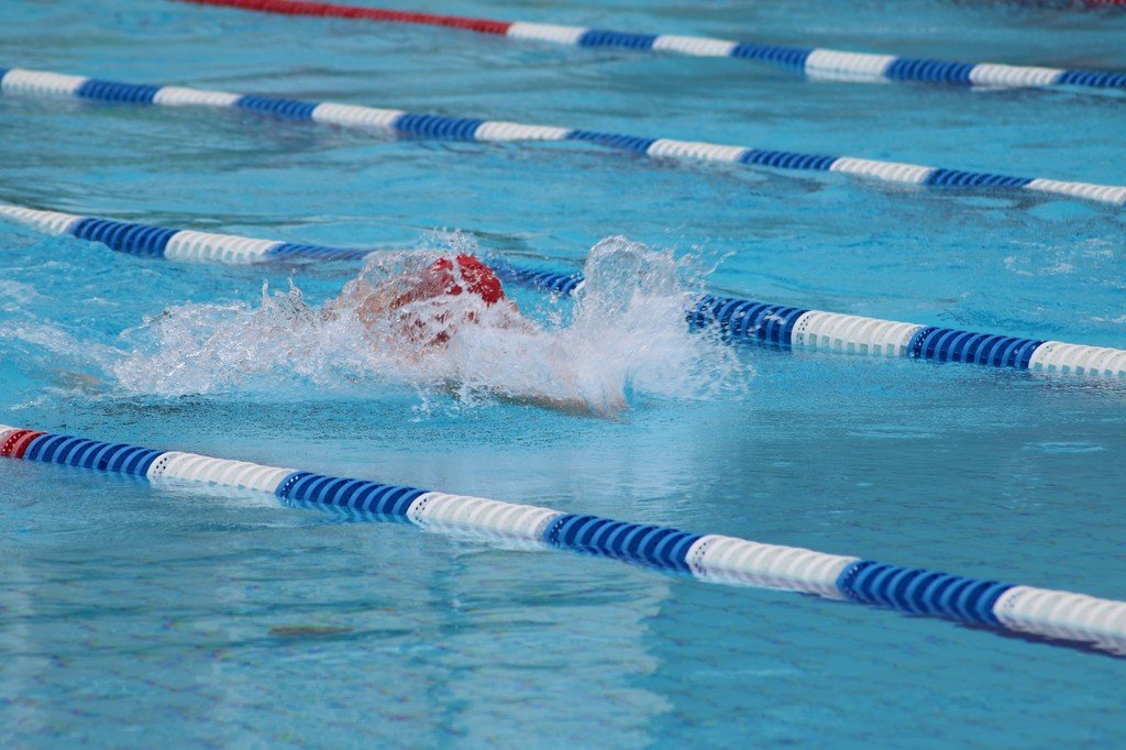 5770d55d8c945_IMG1679.JPG