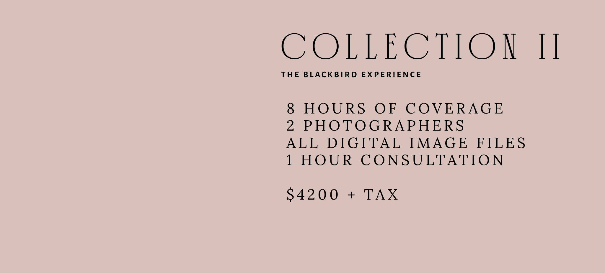 Text graphic titled 'Collection II: The Blackbird Experience', listing a photography package: 8 hours of coverage, 2 photographers, all digital image files, 1-hour consultation, priced at $4200 plus tax.