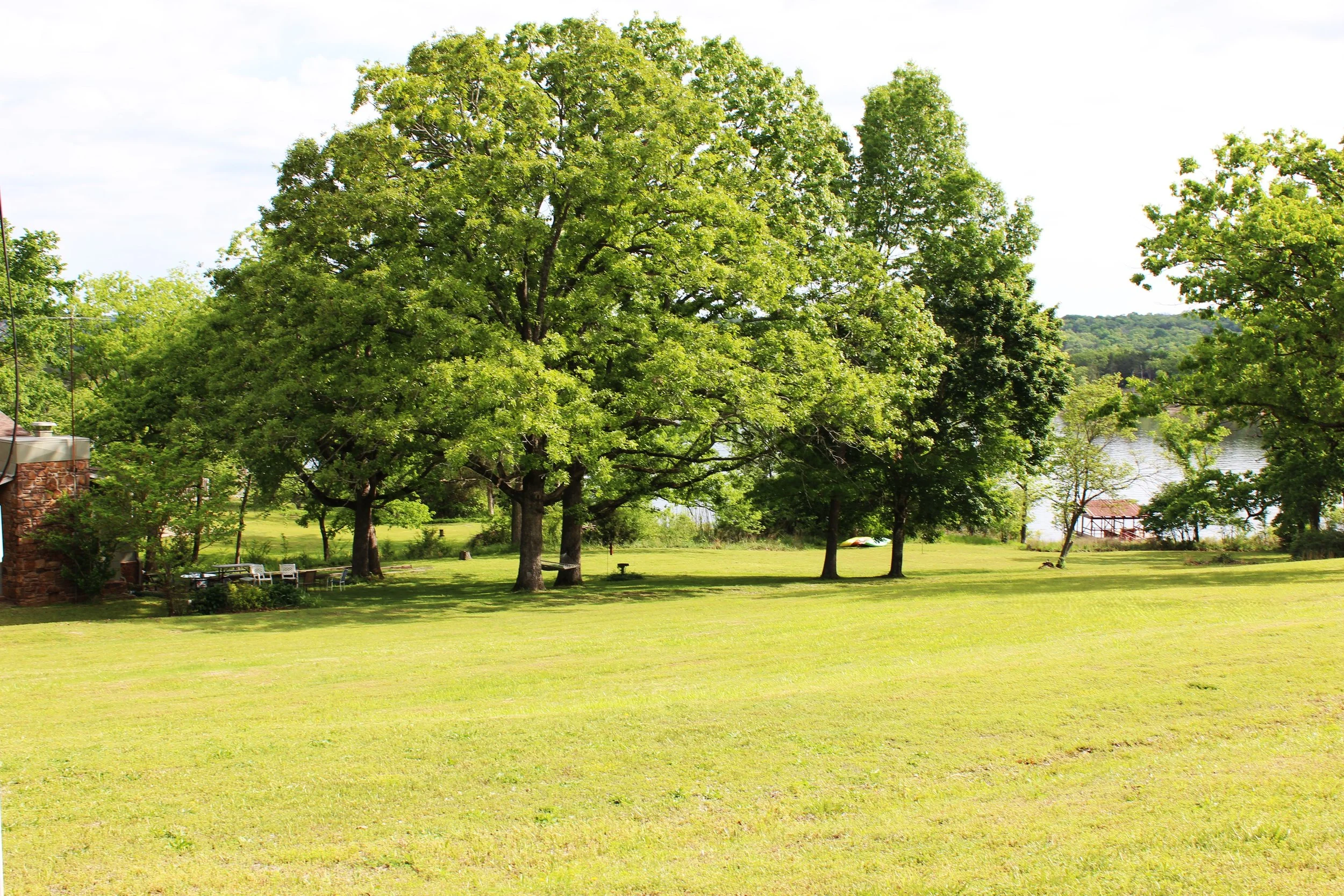 A grassy lawn with several large trees, some benches, a building with a flag, and a water body in the background.