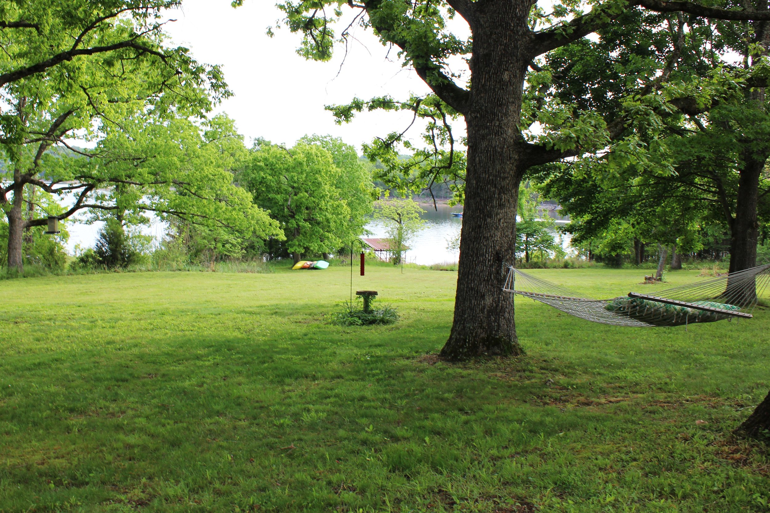 A peaceful backyard scene with green grass, large trees, a hammock, and a view of the river in the background.