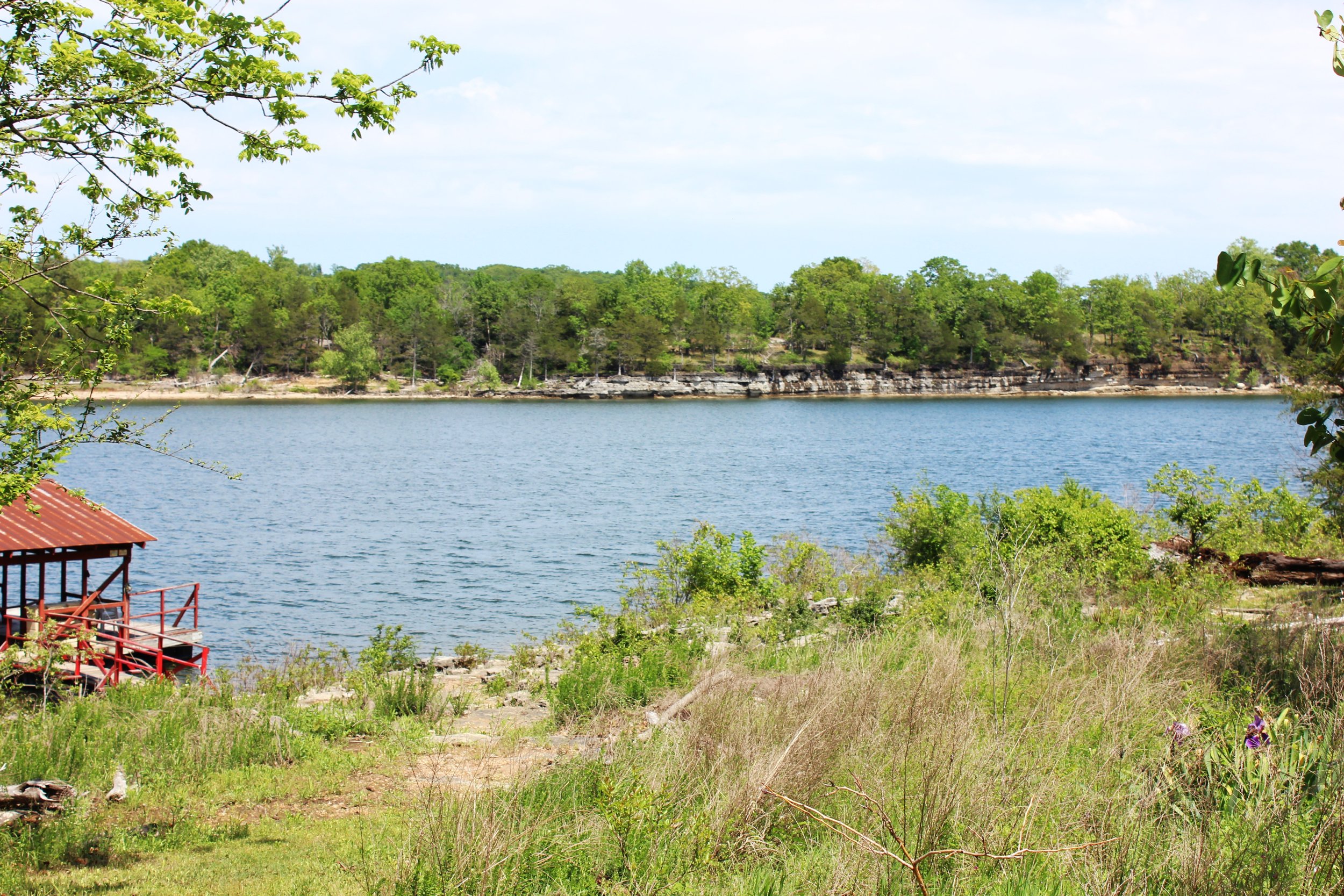 A lakeside view with green trees across the water, some branches with leaves in the foreground, and a small red-roofed structure at the bottom left corner.