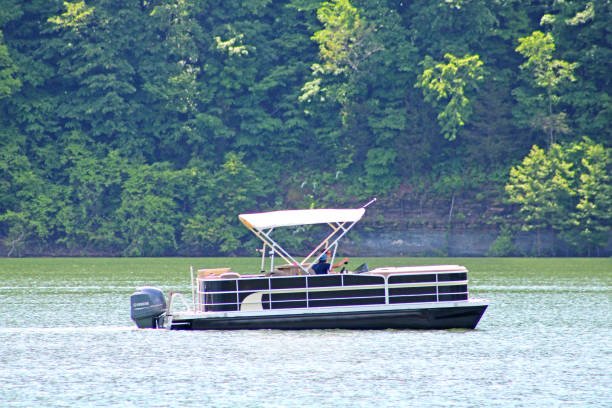 A pontoon boat with a canopy floating on a lake with green trees in the background.