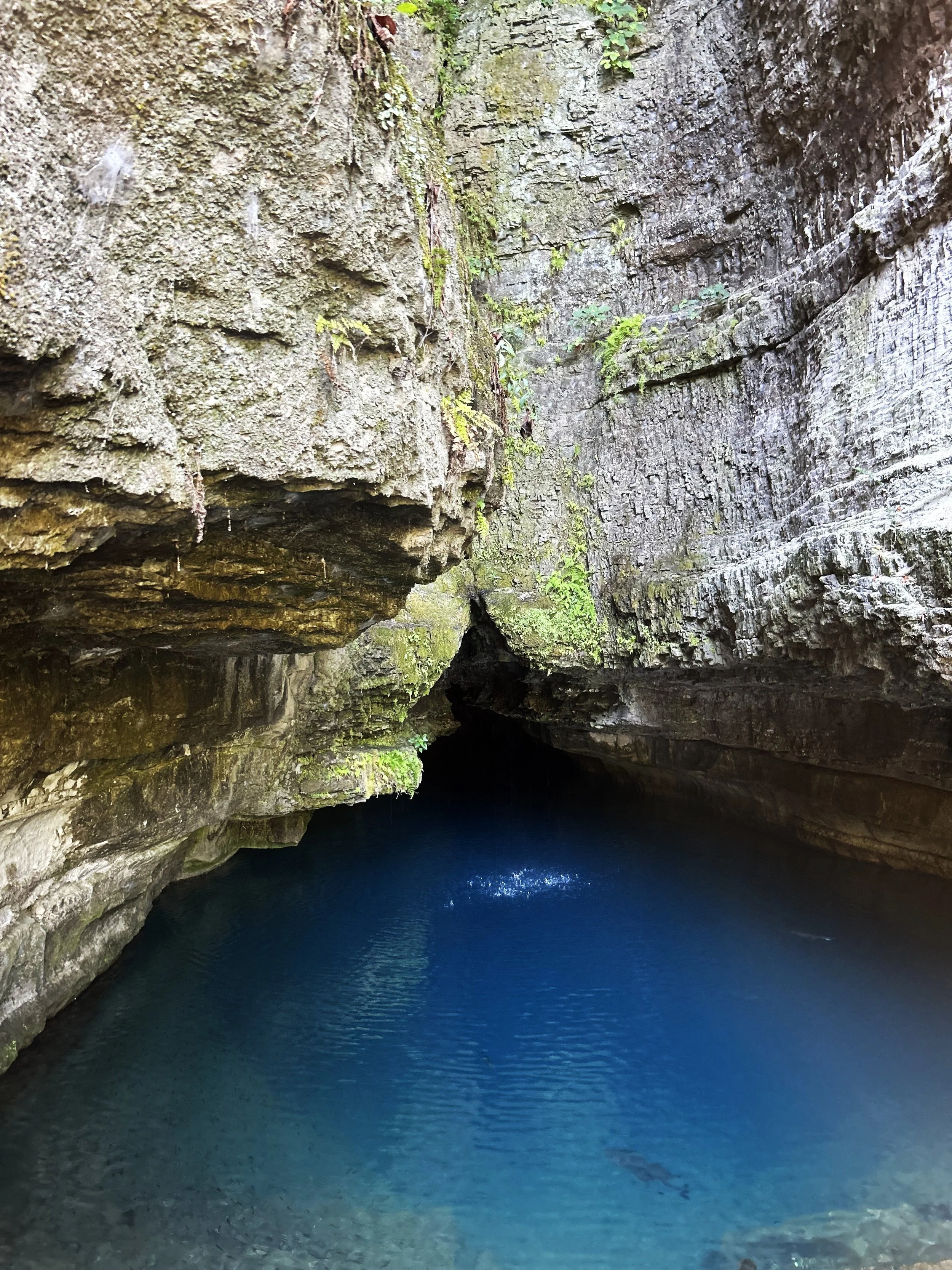 The deep blue, crystal-clear natural spring at Roaring River State Park near Table Rock Lake, Missouri, surrounded by towering limestone rock bluffs and lush moss.