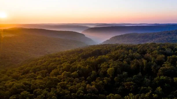 Aerial view of a golden sunrise over the rolling hills and dense forests of the Mark Twain National Forest, with soft morning mist settling in the valleys of the Missouri Ozarks.