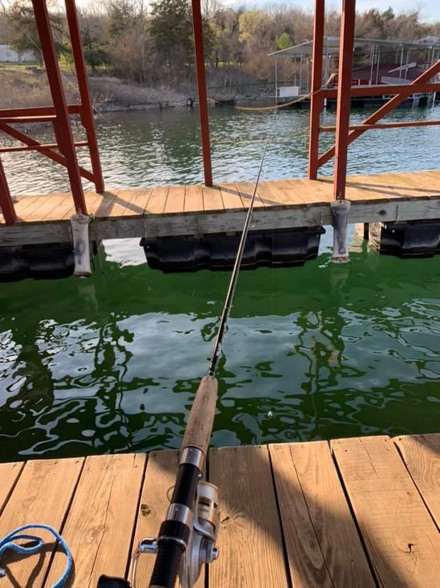 Fishing rod held over a lake from a wooden dock with railings; the dock has floating bumpers and the lake is surrounded by trees.