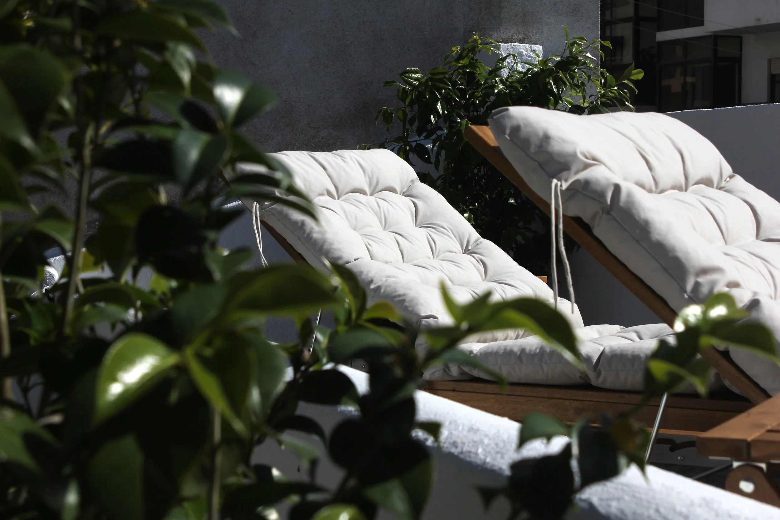 garden deckchairs 2.jpg
