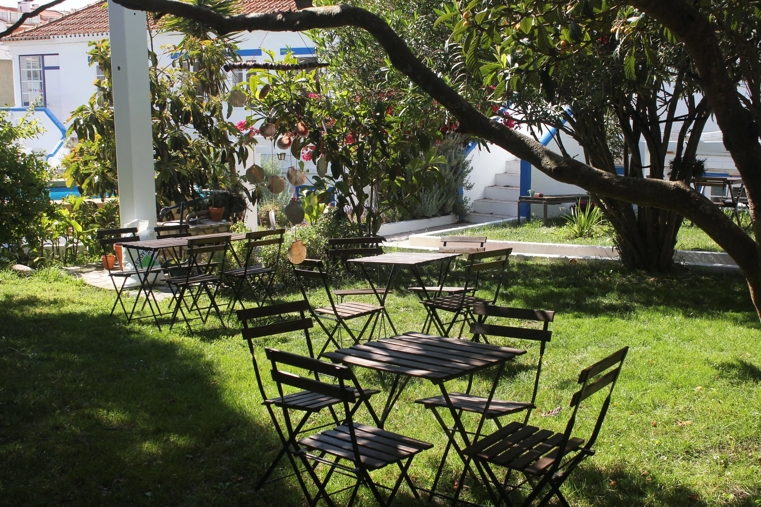 garden 4.jpg