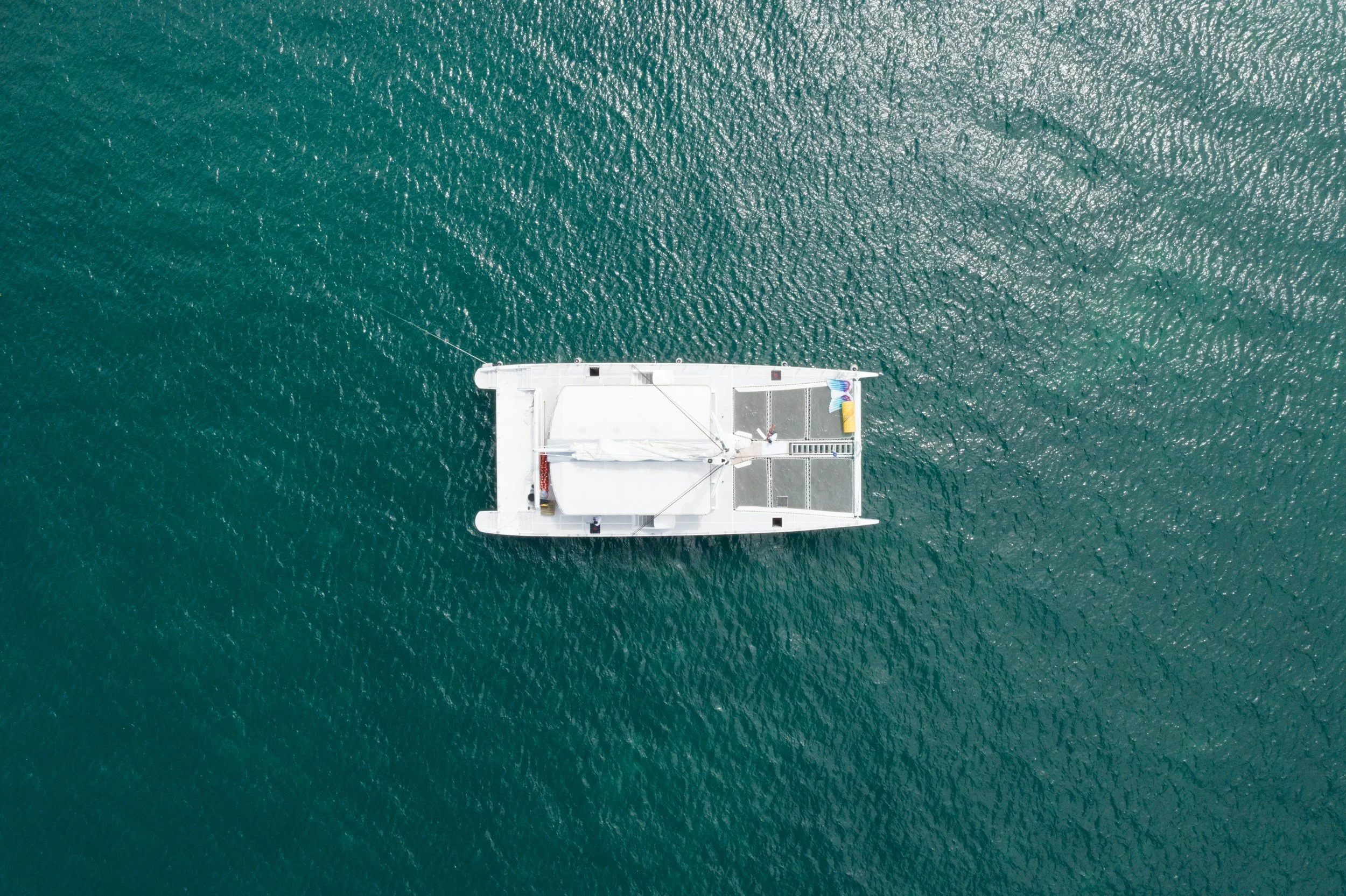 unsplash-image-WC_BYuLTtyc.jpg