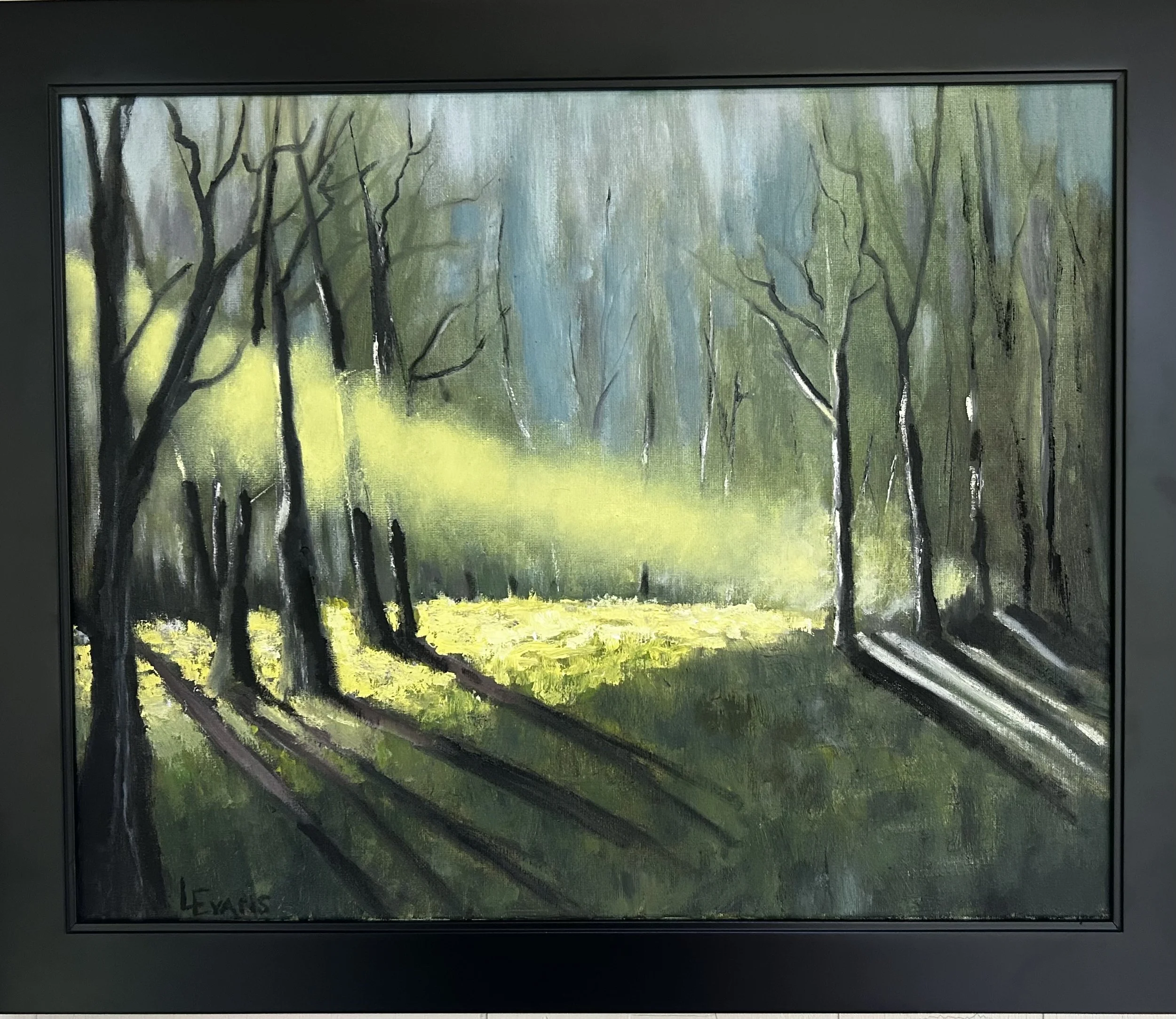 Sunlight Through Trees