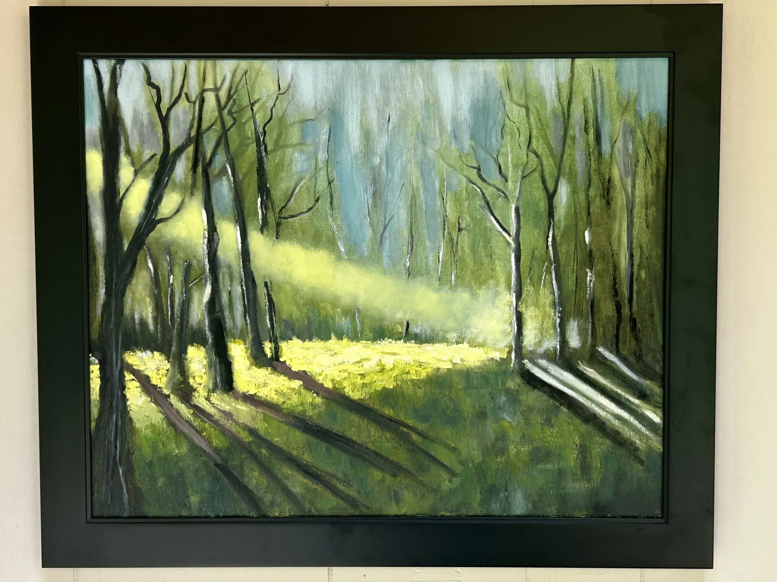 Sunlight in trees.jpeg