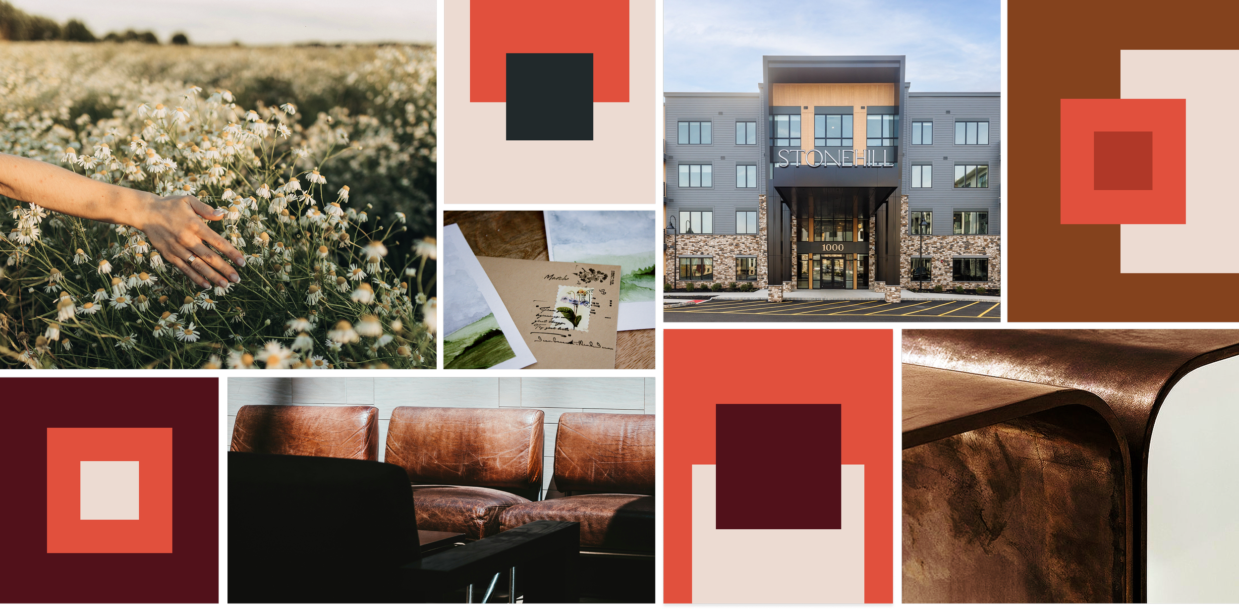 Collage of images including a hand touching daisies, color swatches, a modern apartment building labeled 'Stonehill,' a leather chair, and painting supplies.