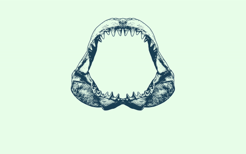 Shark jaw illustration with gif of photos instead showing food, live music, and bar shots for Salivar's Clam and Chowder House.