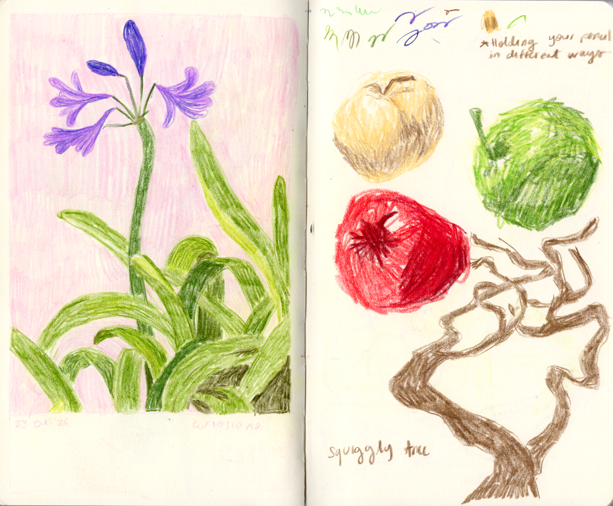 25.png