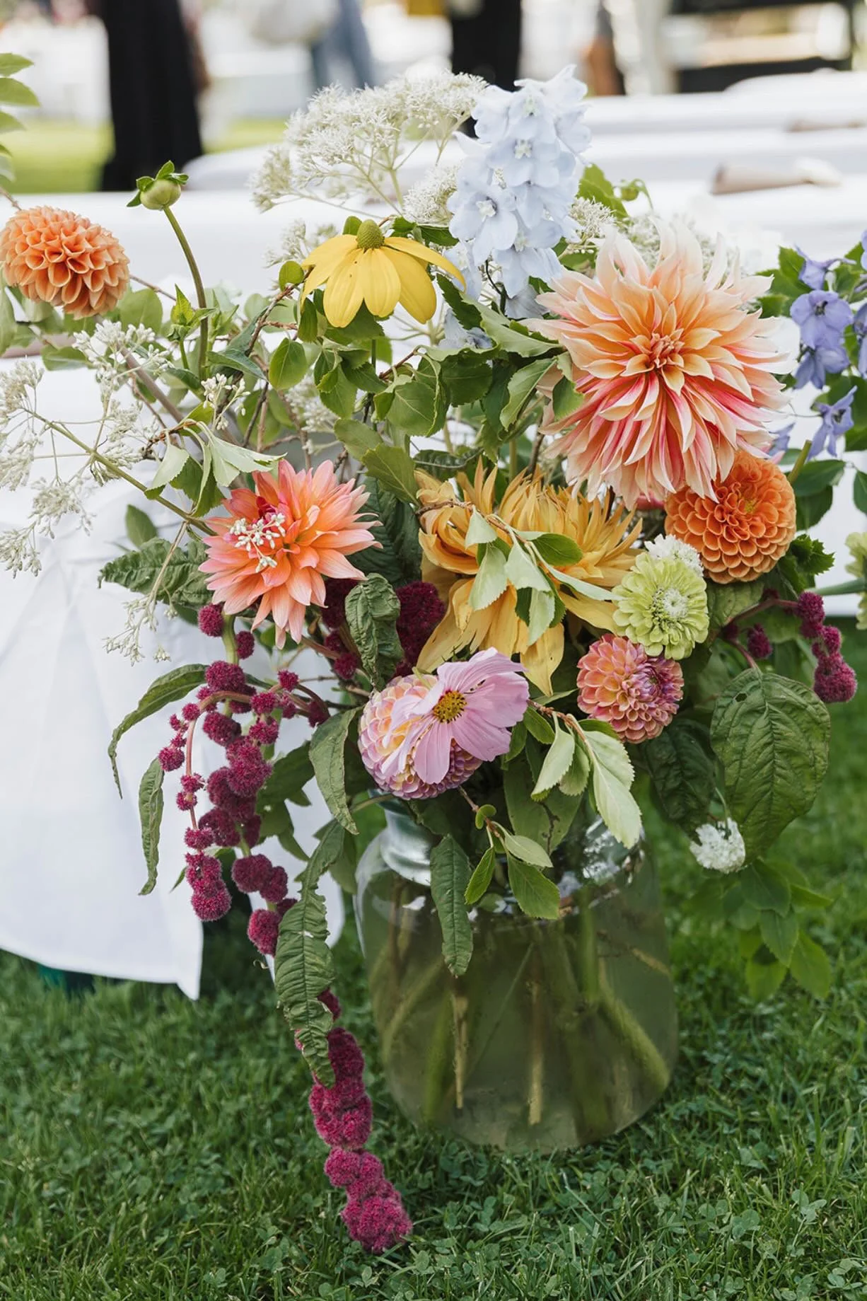 EVEC1663.JPG