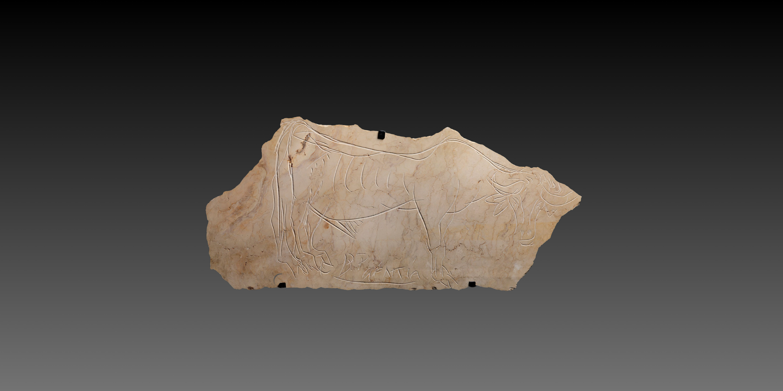 Untitled (Medium Banner (US) (Landscape)) (3).png