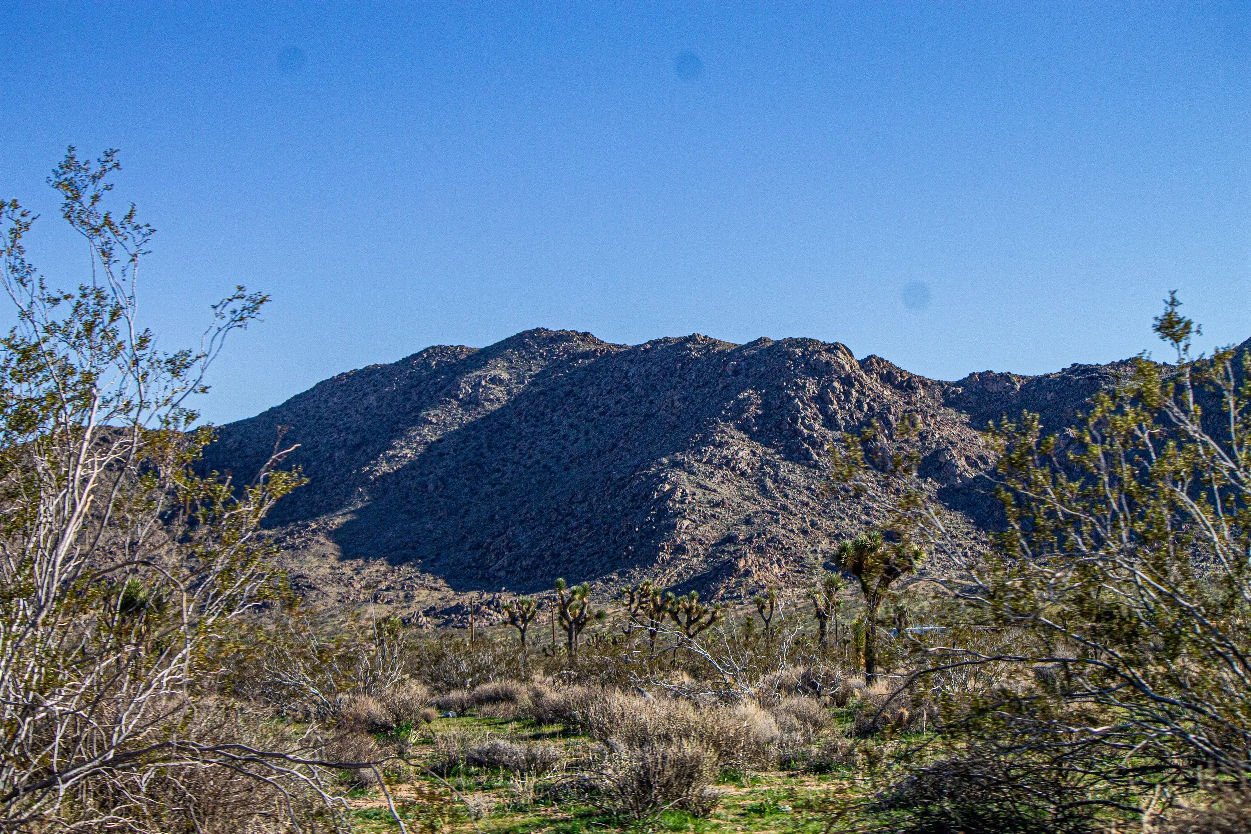 IMG_4026.jpg