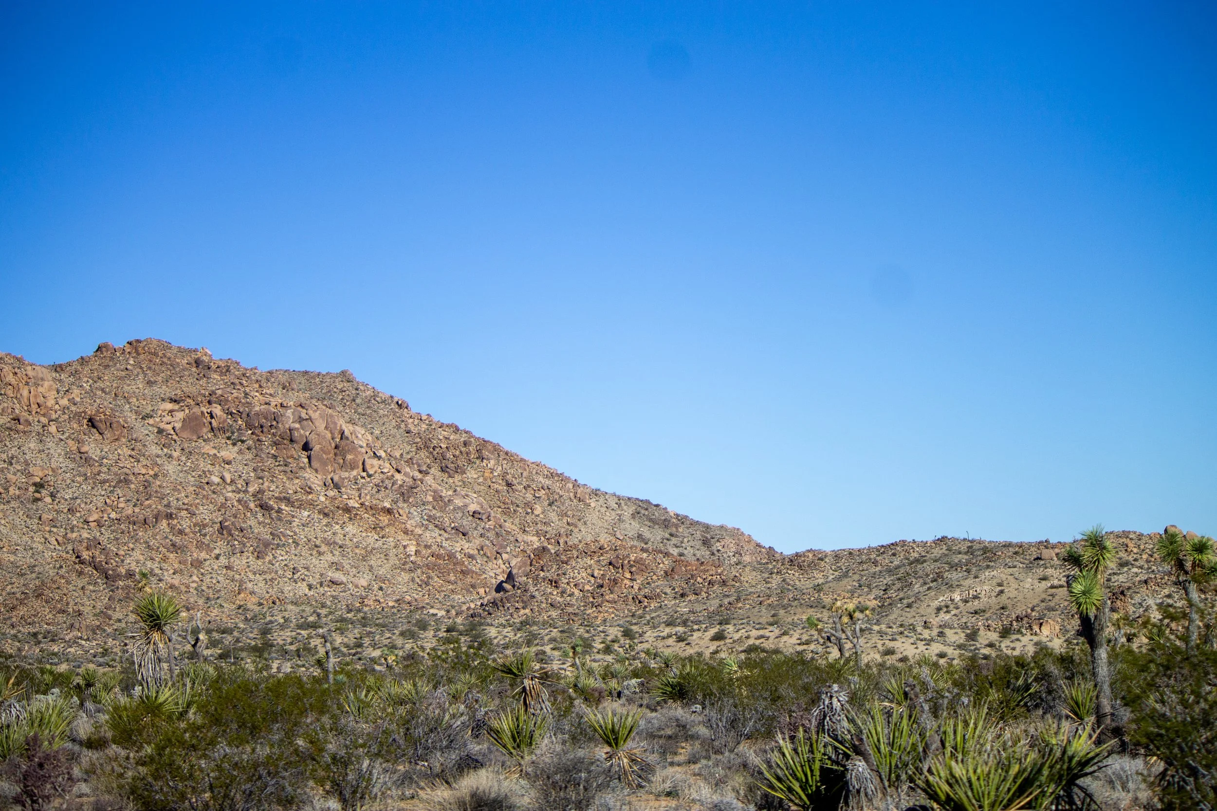IMG_4149.jpg