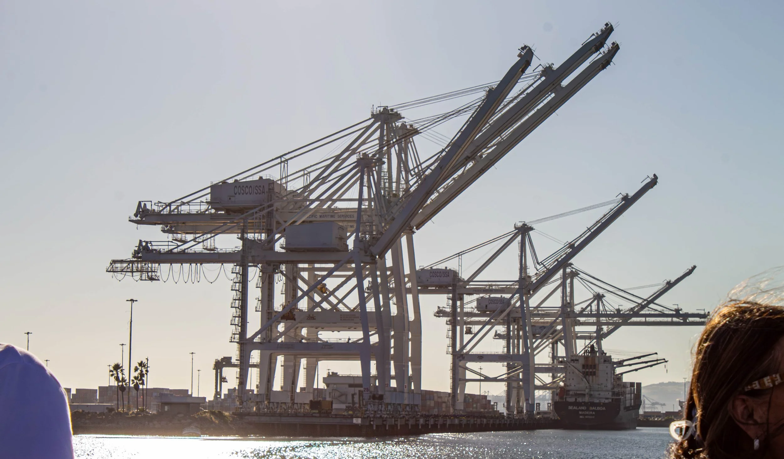 Harbor_tour_10.jpg