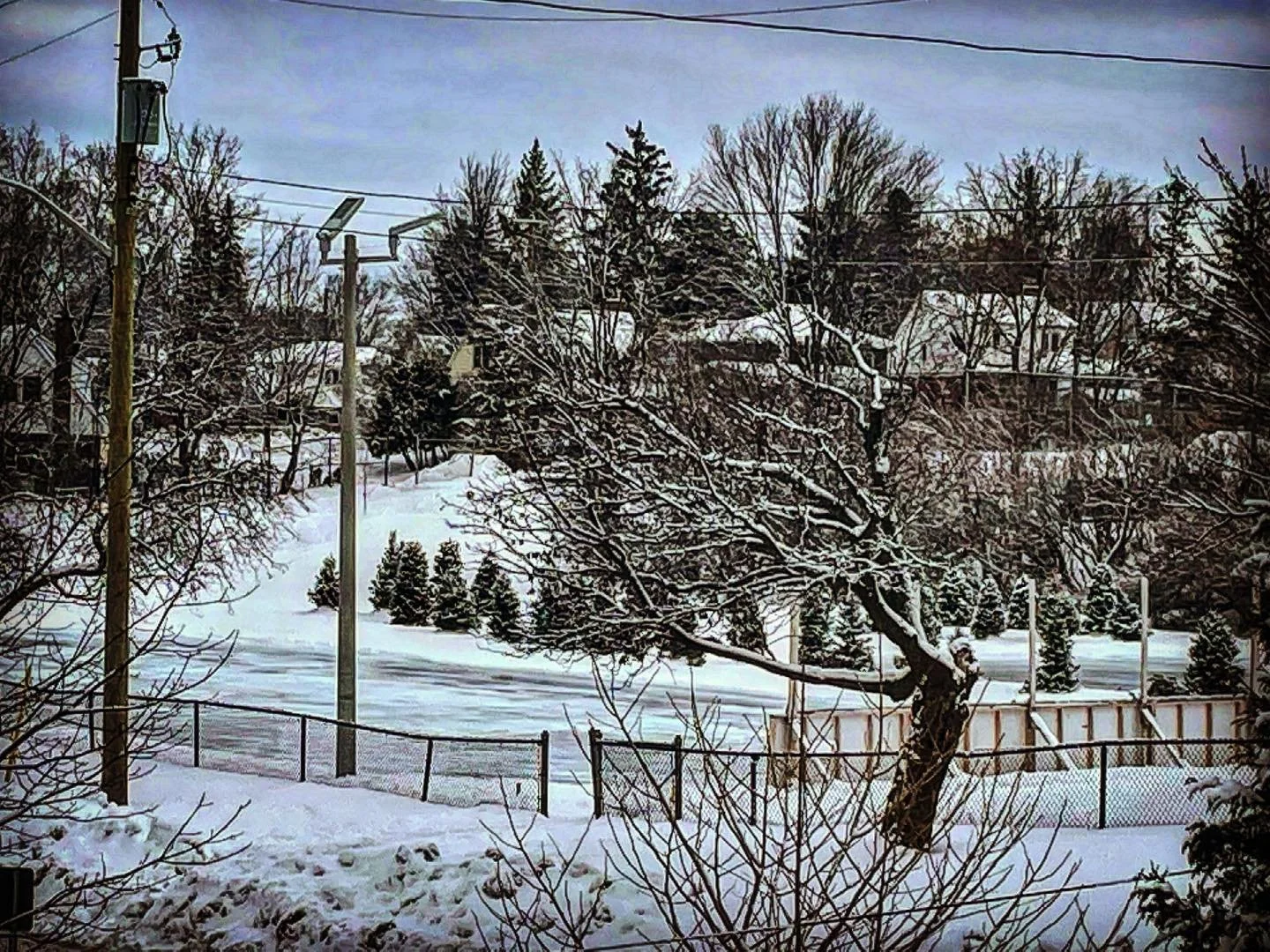 Today is the day you guys!! The ALTA VISTA ODR IS OPEN!! The volunteers have been hard at work for weeks, battling with Mother Nature, but it's finally ready and beautifully decorated with discarded Christmas Trees and ready for skaters!! There will 