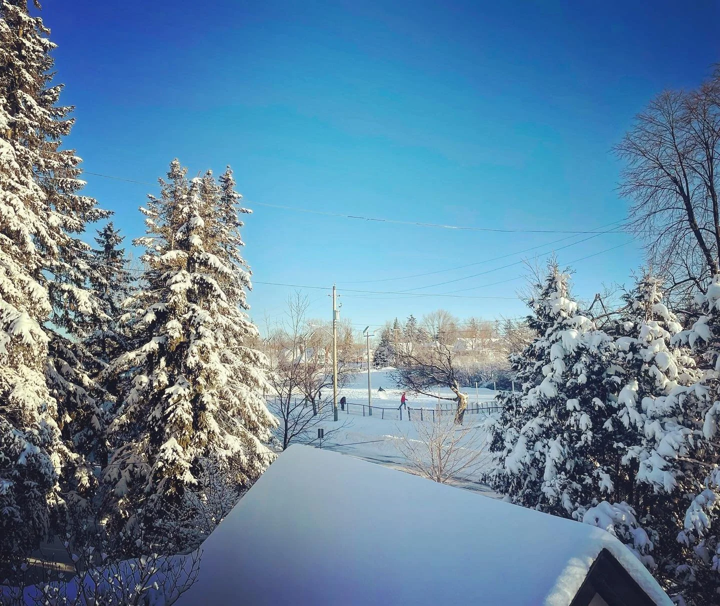 ❄️✨⛸️ THE ALTA VISTA ODR STOMPDOWN has begun you guys!! Come meet your neighbours at the Alta Vista Park and help them stomp the base so they can start building the ice. Bring your kids and you can wear normal boots and/or snow shoes and/or cross cou