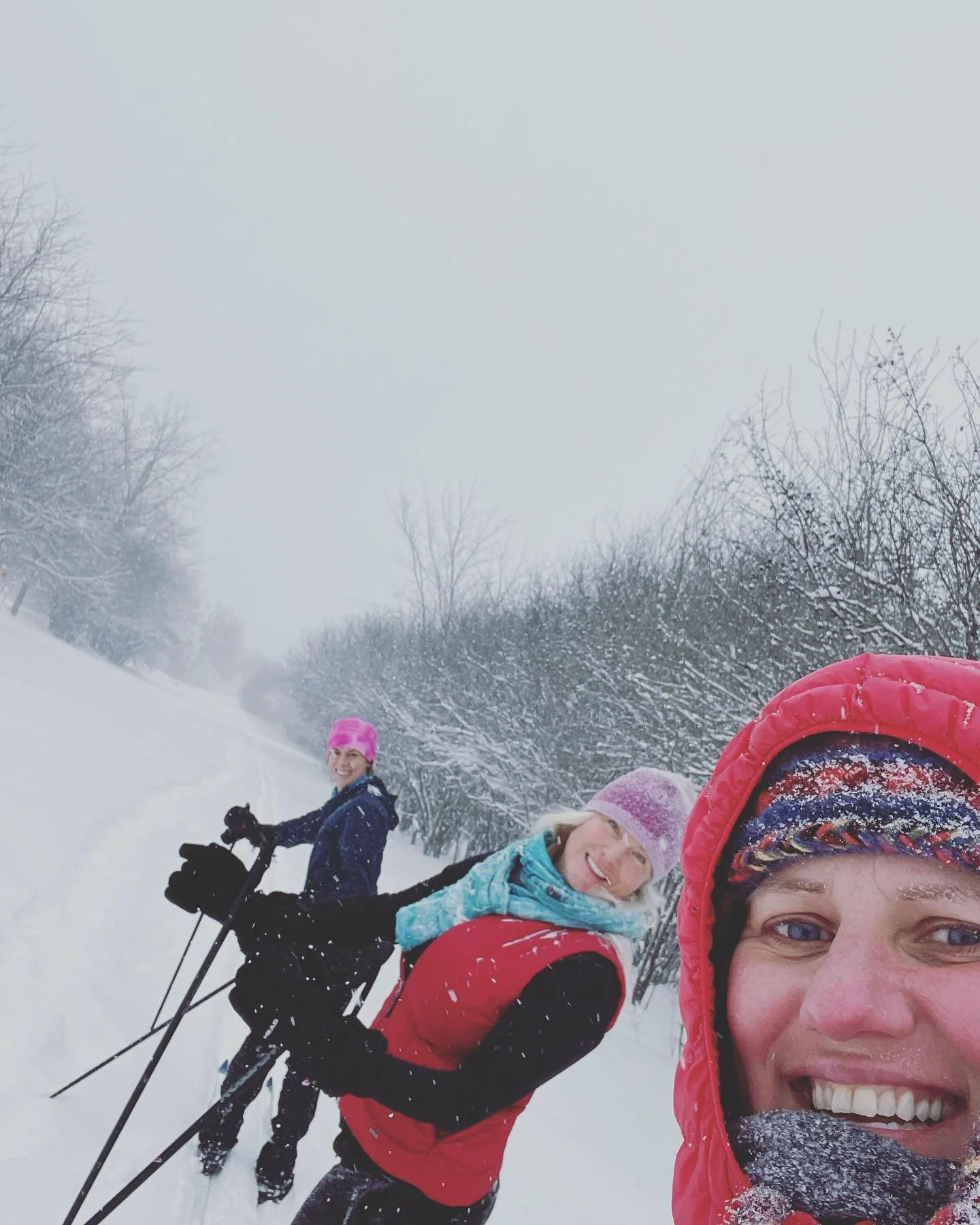 ✨❄️ It's a lovely day for a lunchtime cross-country ski in through Orlando Park/WRENS way ❄️✨