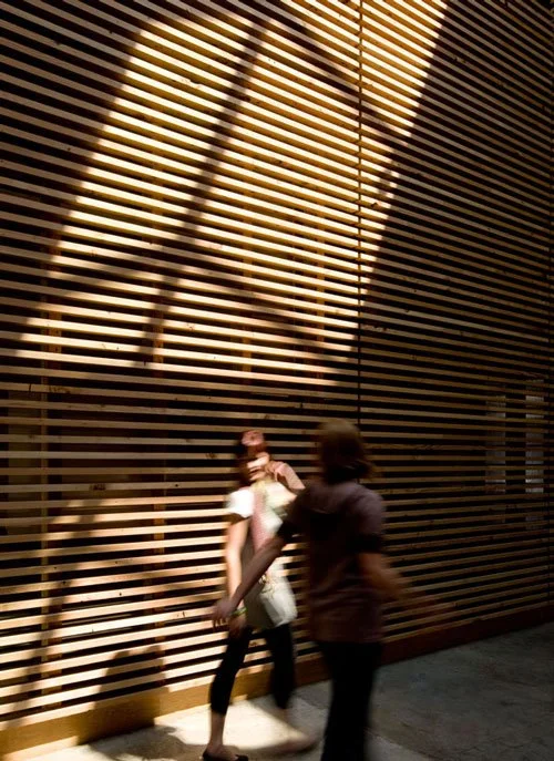 1M5E6371-500.jpg