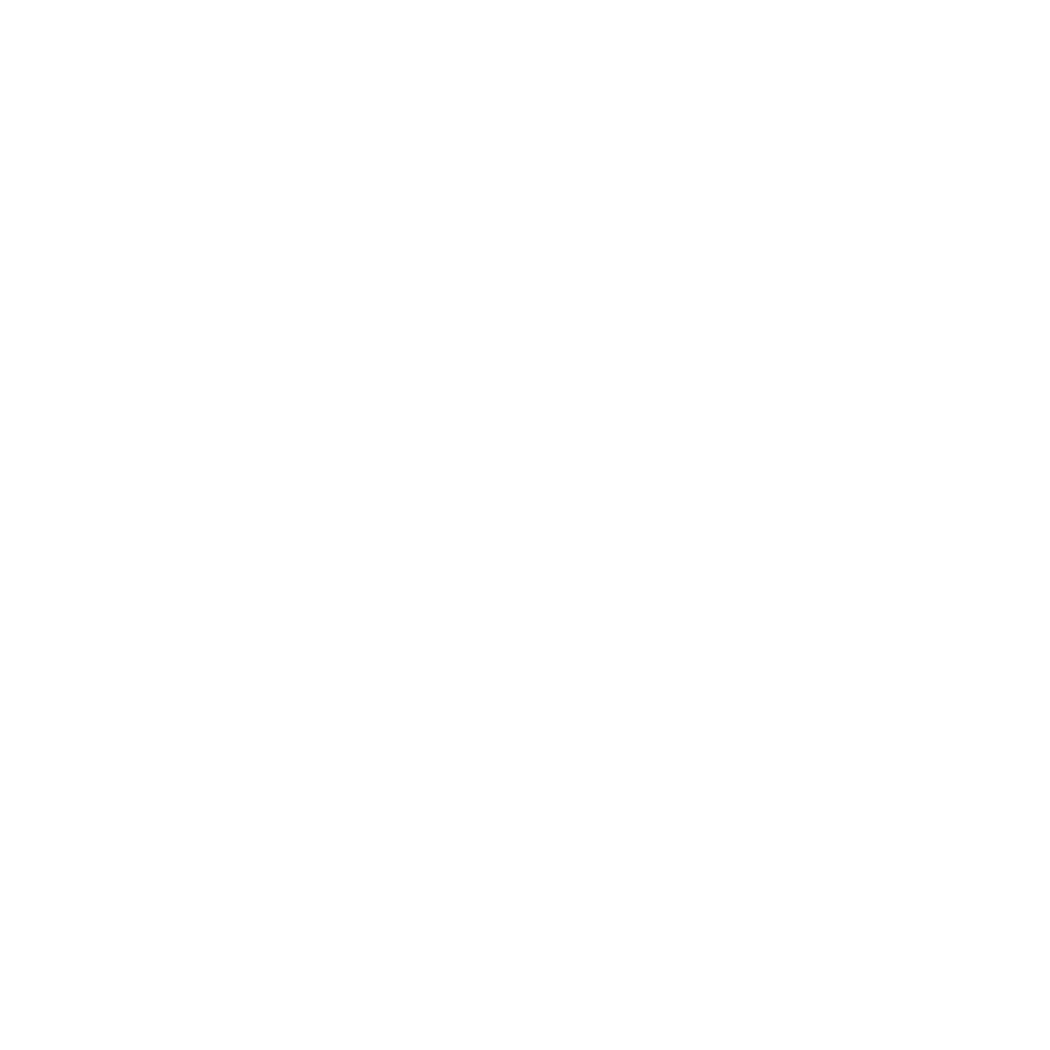An icon of a shield with a padlock inside and the words "Safe & Insured" below, indicating security and insurance.